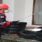 Disinfestazione